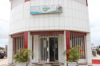 Archive Olivier Marion